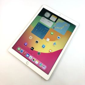 【美品】iPad Pro 12.9 (第2世代) Wi-Fi + Cellular/64GB/355812081839093
