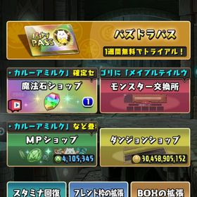 引退アカ | パズドラ(パズル＆ドラゴンズ)のアカウントデータ、RMTの販売・買取一覧