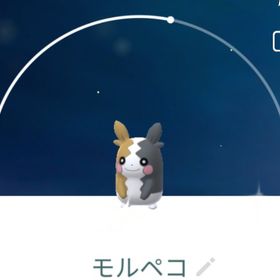 9621【PTC】国産！色違いモルペコ | ポケモンGOのアカウントデータ、RMTの販売・買取一覧