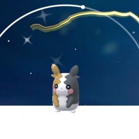 614⭐️PTC⭐️国産⭐️色違いダイマックスイーブイ | ポケモンGOのアカウントデータ、RMTの販売・買取一覧