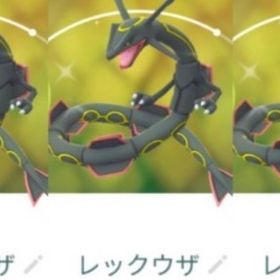 8938【PTC】在庫処分！レックウザ13匹 内色違い3匹 いんせき1つ有 | ポケモンGOのアカウントデータ、RMTの販売・買取一覧