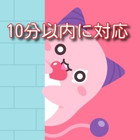 かえで鯖 メル 80g（1g=1050円） | メイプルストーリーのアカウントデータ、RMTの販売・買取一覧