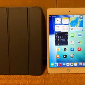 Apple iPad mini (第5世代) 256GB セルラーモデル