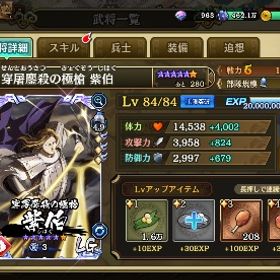 魏国編成技極多数 | キングダム乱 天下統一への道(キンラン)のアカウントデータ、RMTの販売・買取一覧