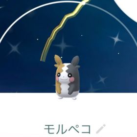 ジーさん様専用 | ポケモンGOのアカウントデータ、RMTの販売・買取一覧