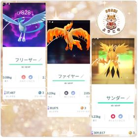 (ぬ様)色違いガラルファイヤ | ポケモンGOのアカウントデータ、RMTの販売・買取一覧