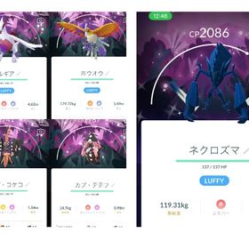 じゅんさん専用 | ポケモンGOのアカウントデータ、RMTの販売・買取一覧