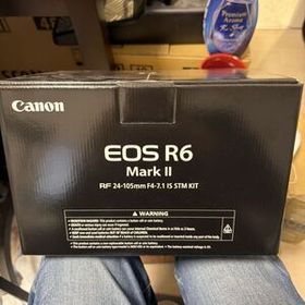 EOS R6 Mark II RF24-105 IS STM レンズキット