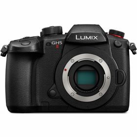 【長期5年保証付】パナソニック Panasonic LUMIX DC-GH5M2 ボディ