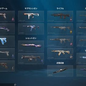 希少引退垢🌟周年・限定スキン複数所持 | VALORANT(ヴァロラント)のアカウントデータ、RMTの販売・買取一覧