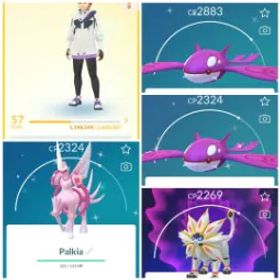 LV 57+ [色違い カイオーガ x2] |52レッグ+22xです 色違い |ディアルガ |パルキア