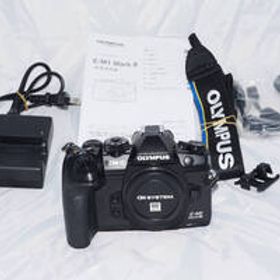 【中古美品】ミラーレス一眼カメラ OLYMPUS OM-D E-M1 Mark III ボディ オリンパス