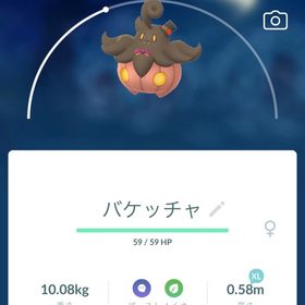 進化マラソン用にどうぞ | ポケモンGOのトレード(モンスター)、RMTの販売・買取一覧