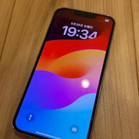 Apple iPhone 13 Pro 256GB シルバー ジャンク