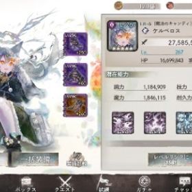 冥ケルベロスLR＋5、パラデアSSRその他LR以上多数所持 | メメントモリ(メメモリ)のアカウントデータ、RMTの販売・買取一覧