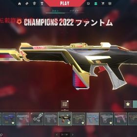 【期間限定値下げ】課金額４７万↑ チャンピオン2021 2022 2023 ARCANE | VALORANT(ヴァロラント)のアカウントデータ、RMTの販売・買取一覧