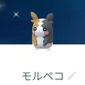 9652【PTC】砂100万！国産色違いモルペコ、通常モルペコ10匹 | ポケモンGOのアカウントデータ、RMTの販売・買取一覧