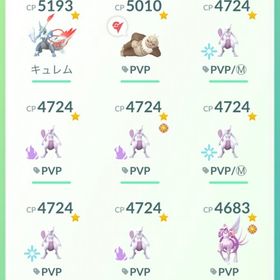 引退PL50 捕獲100万超 PL50個体250匹レジェンドポーズS12〜S21所持アカウント | ポケモンGOのアカウントデータ、RMTの販売・買取一覧