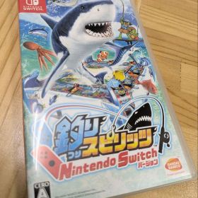 switch 釣りスピリッツ 美品
