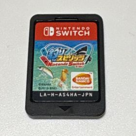 釣りスピリッツNintendoSwitchバージョン カセット