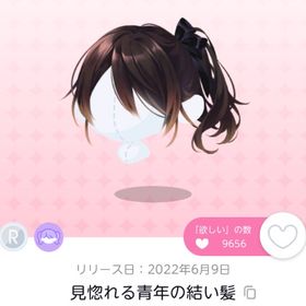 見惚れる青年の結い髪 | ポケコロツイン(ポケツイ)のアカウントデータ、RMTの販売・買取一覧