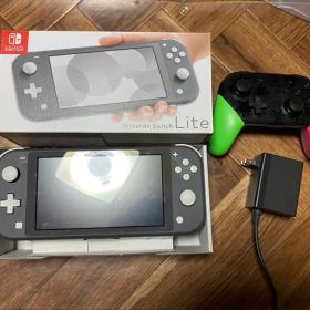 switchライト 【ジャンク】+プロコン+マイクロSDセット
