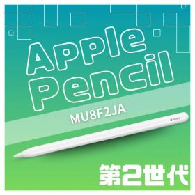 【美品】Apple Pencil 第2世代 MU8F2J/A 箱あり 純正
