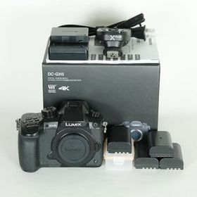 [良品 | シャッター数48,870回｜別売付属品多数] Panasonic LUMIX DC-GH5 | マイクロフォーサーズマウント