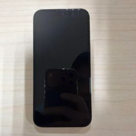 iPhone 13 Pro 256GB Sim Free