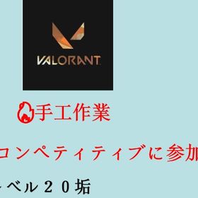 ⚡VALORANT 即購入OK！ 20レベル以上 正規アカウント 🎮ランク参加可能 | VALORANT(ヴァロラント)のアカウントデータ、RMTの販売・買取一覧