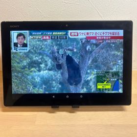 【期間限定値下げ】❤️Ｘｐｅｒｉａ Ｚ４ Ｔａｂｌｅｔ❤️ ソニー ＳＯＴ３１ 黒