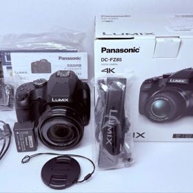 Panasonic DC-FZ85 動作確認済 撮影回数極少 4Kデジタルカメラ