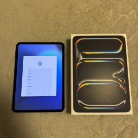 11インチiPad Pro M4チップモデル 256GB