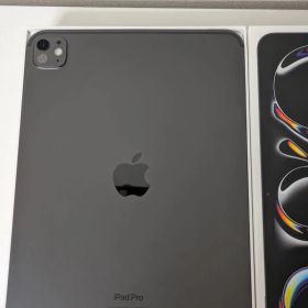 【美品】iPad Pro 11インチ Wi-Fi 512GB 標準ガラス搭載 スペースブラック 2024年モデル M4