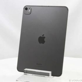 〔中古品〕 iPad Pro 11インチ 第5世代 標準ガラス 256GB スペースブラック MVW13J／A SIMフリー【258】