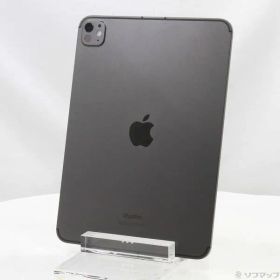 〔中古品〕 iPad Pro 11インチ 第5世代 Nano-textureガラス 1TB スペースブラック MWRP3J／A SIMフリー【198】
