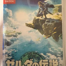 ゼルダの伝説 ティアーズ オブ ザ キングダム