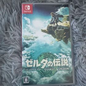 ゼルダの伝説 ティアーズ オブ ザ キングダム