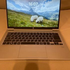 Hp Probook 445 G10 12GB 256GB