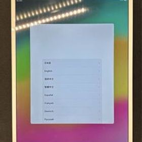 送料無料 Apple iPad Pro 10.5インチ 64GB シルバー WiFi+Cellular 動作確認済 おまけ付き