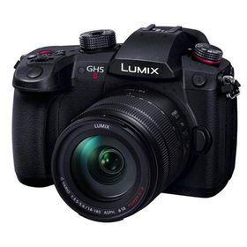 デジタル一眼カメラ Panasonic LUMIX DC-GH5M2H 高倍率ズームレンズキット
