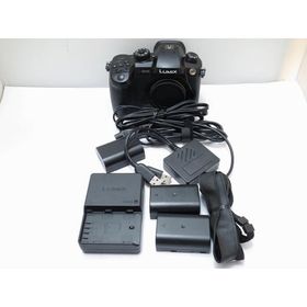 パナソニック Panasonic ミラーレス一眼 LUMIX DC-GH5