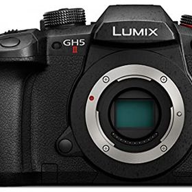 【中古】「非常に良い」パナソニック(Panasonic) ミラーレス一眼カメラ ルミックス GH5M2 ボディ ブラック DC-GH5M2
