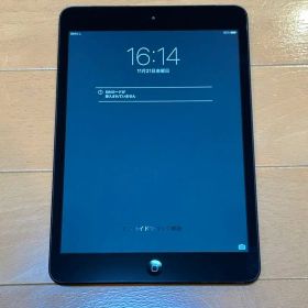 iPad mini (初代) 64GB セルラーモデル MD542J/A