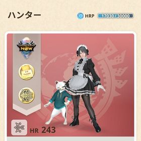 モンハンナウ 弓メイン HR243 | モンハンNow(ナウ)のアカウントデータ、RMTの販売・買取一覧