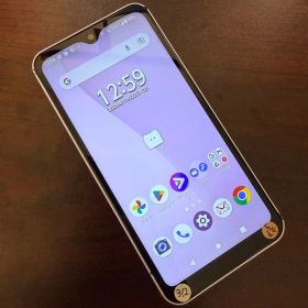 arrows F-51B シルバー docomo版 SIMフリー 動作品