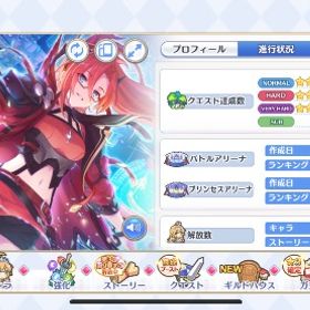 引退アカウント | プリンセスコネクト(プリコネR)のアカウントデータ、RMTの販売・買取一覧