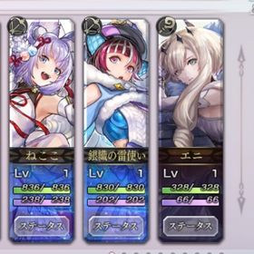 石74000 ESチルリル・ESねここ確定 AS銀織 255 アイテム多数所持 | アナザーエデン(アナデン)のアカウントデータ、RMTの販売・買取一覧