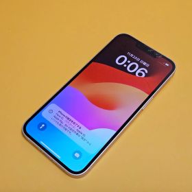 iPhone 13 256GB｜24時間以内発送!#971