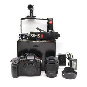 パナソニック(Panasonic) ミラーレス一眼カメラ ルミックス GH5M2 レンズキット 標準ズームレンズ付属 ブラック DC-GH5M2M